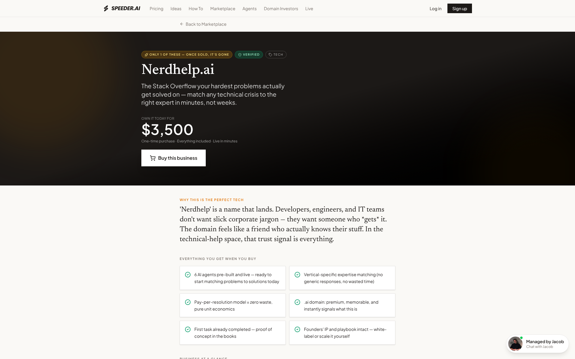 Nerdhelp.ai preview