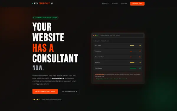 webconsultant.ai preview